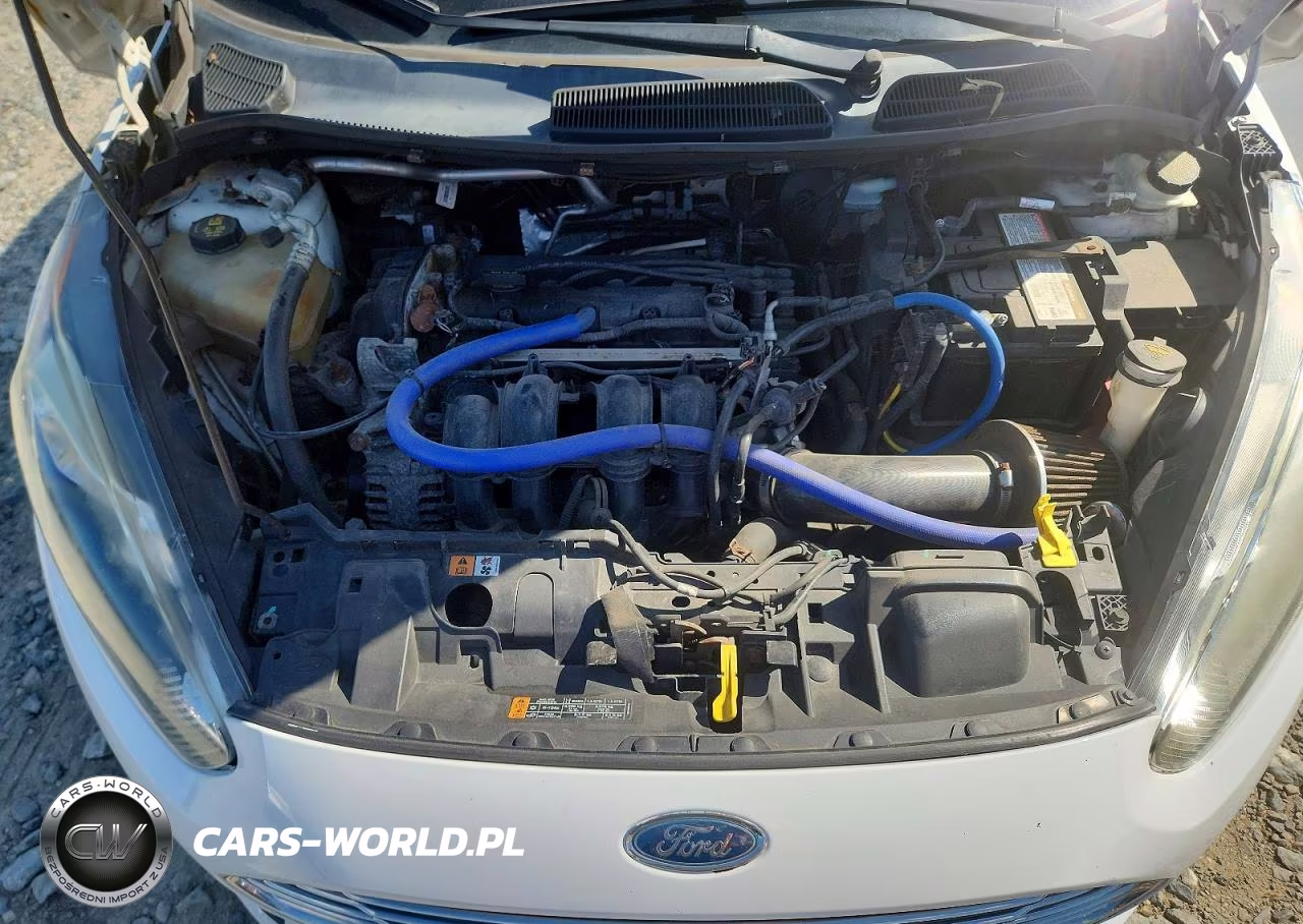 2014 Ford Fiesta Se VIN:3FADP4EJ9EM143934 - 11