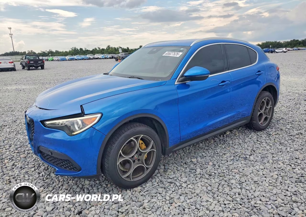 2019 Alfa Romeo Stelvio Base-Sprint-Intensa VIN:ZASPAJAN5K7C40822 - 1