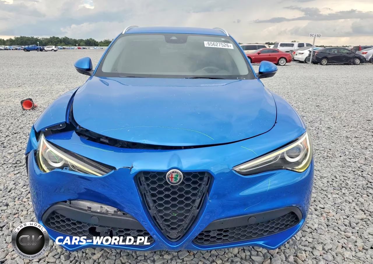 2019 Alfa Romeo Stelvio Base-Sprint-Intensa VIN:ZASPAJAN5K7C40822 - 5