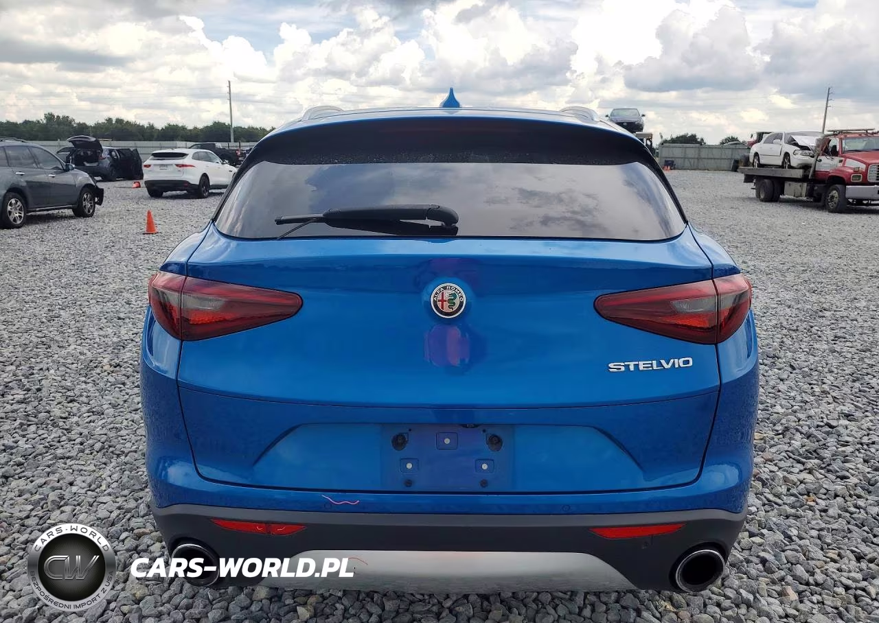 2019 Alfa Romeo Stelvio Base-Sprint-Intensa VIN:ZASPAJAN5K7C40822 - 6