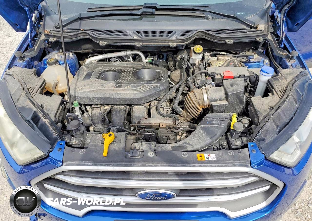 2019 Ford Ecosport Se VIN:MAJ6S3GL2KC268433 - 12