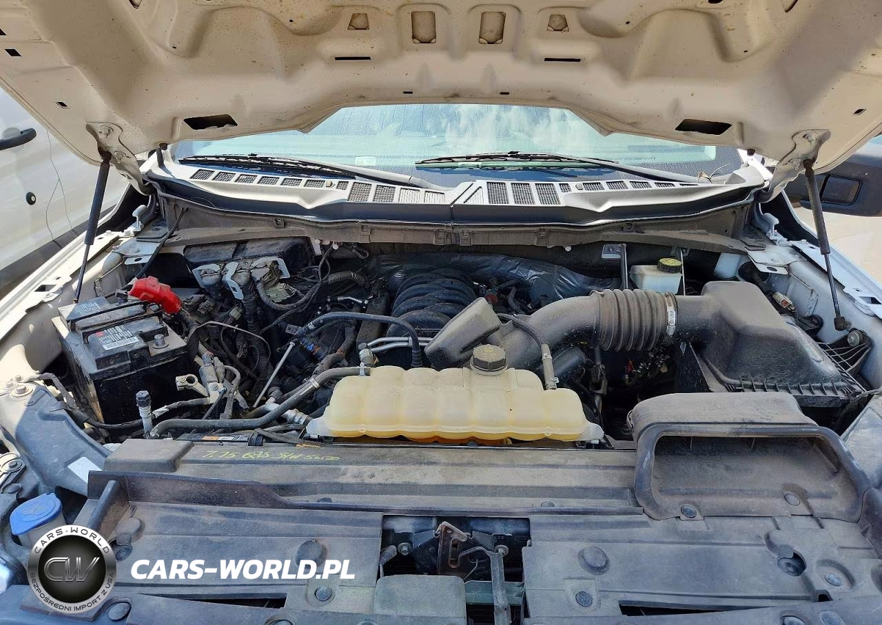2021 Ford F150 VIN:1FTMF1C54MKE95150 - 11