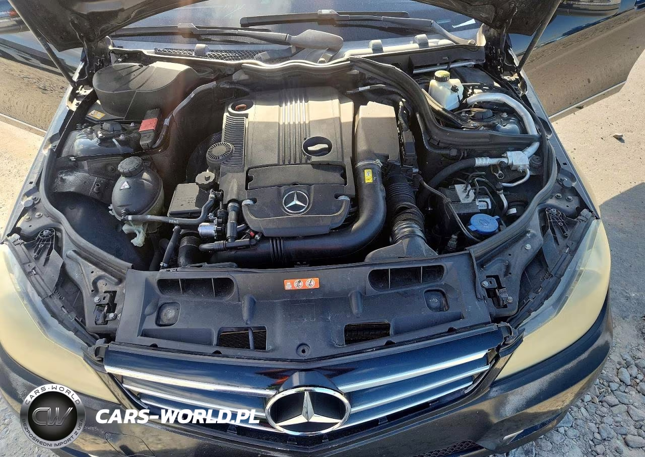 2014 Mercedes-Benz C 250 VIN:WDDGF4HB5EA952090 - 11
