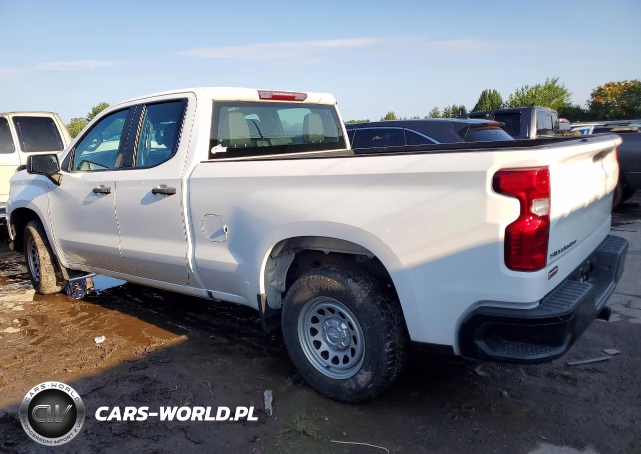 2020 Chevrolet Silverado C1500 VIN:1GCRWAEH7LZ192804 - 2