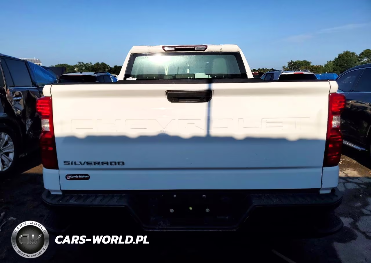 2020 Chevrolet Silverado C1500 VIN:1GCRWAEH7LZ192804 - 6