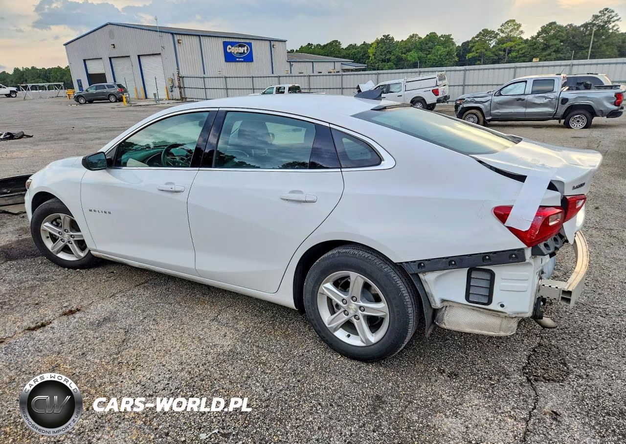2024 Chevrolet Malibu Ls VIN:1G1ZC5ST1RF116975 - 2