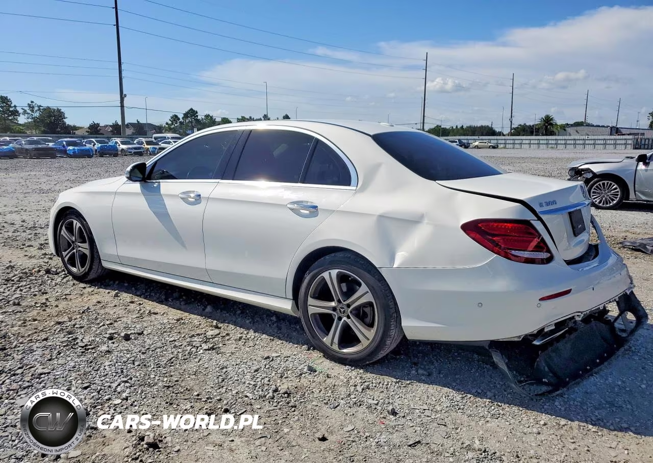2019 Mercedes-Benz E 300 VIN:WDDZF4JB9KA490518 - 2