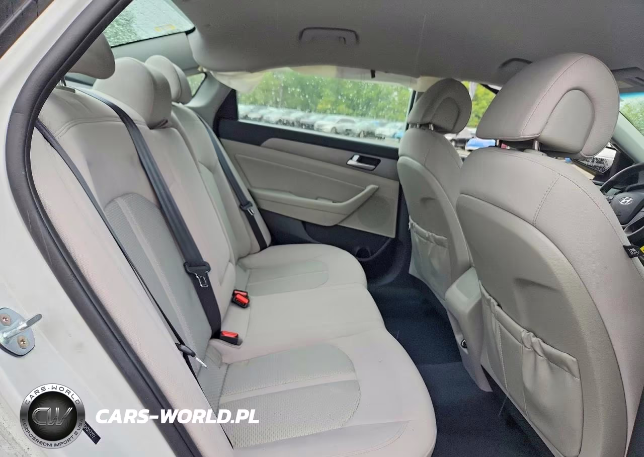 2016 Hyundai Sonata Eco VIN:5NPE24AA6GH357212 - 10