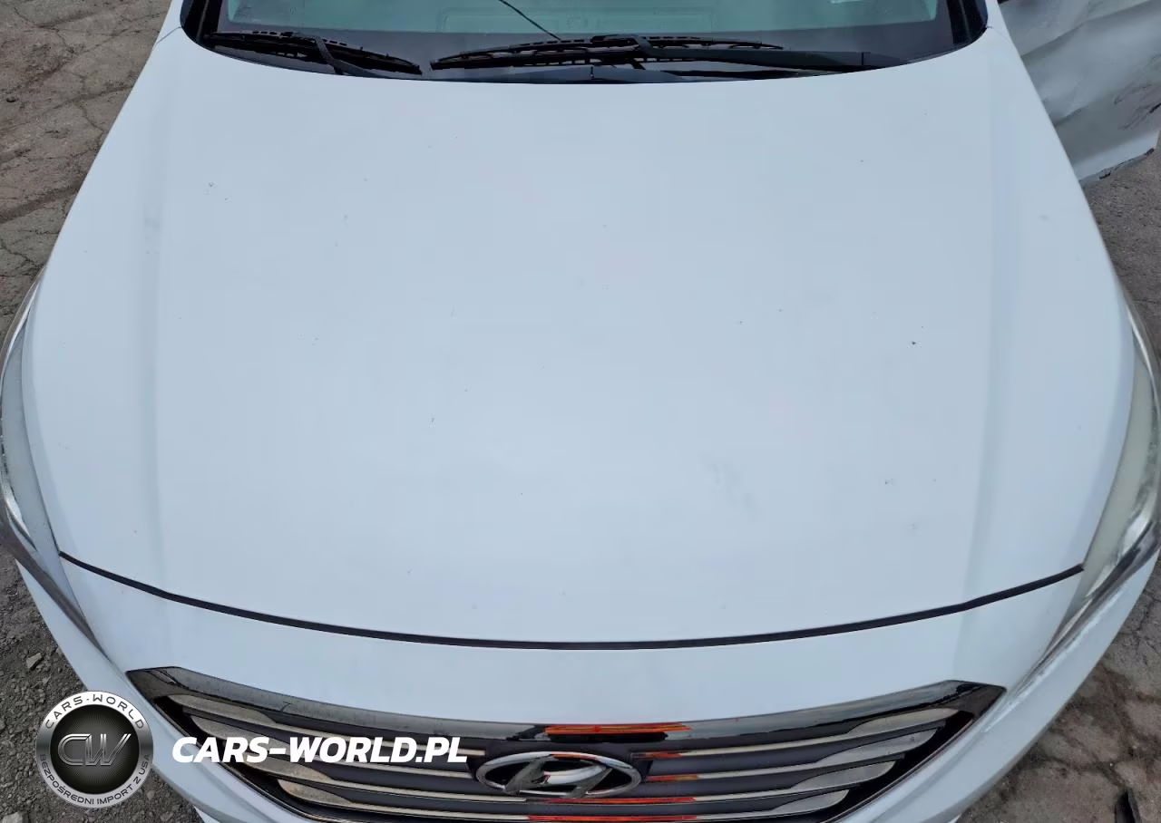 2016 Hyundai Sonata Eco VIN:5NPE24AA6GH357212 - 11