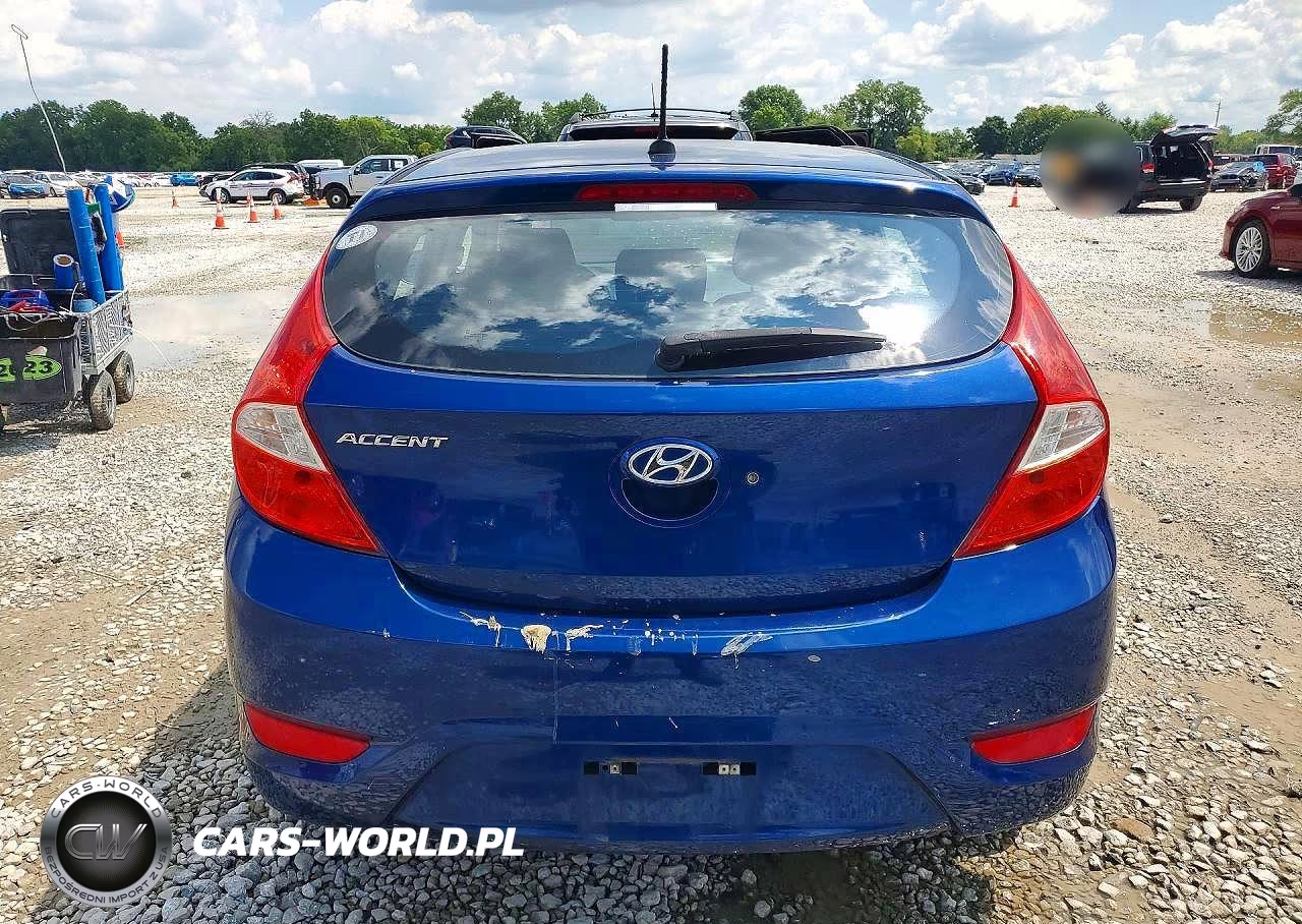 2015 Hyundai Accent Gs VIN:KMHCT5AE1FU219364 - 6