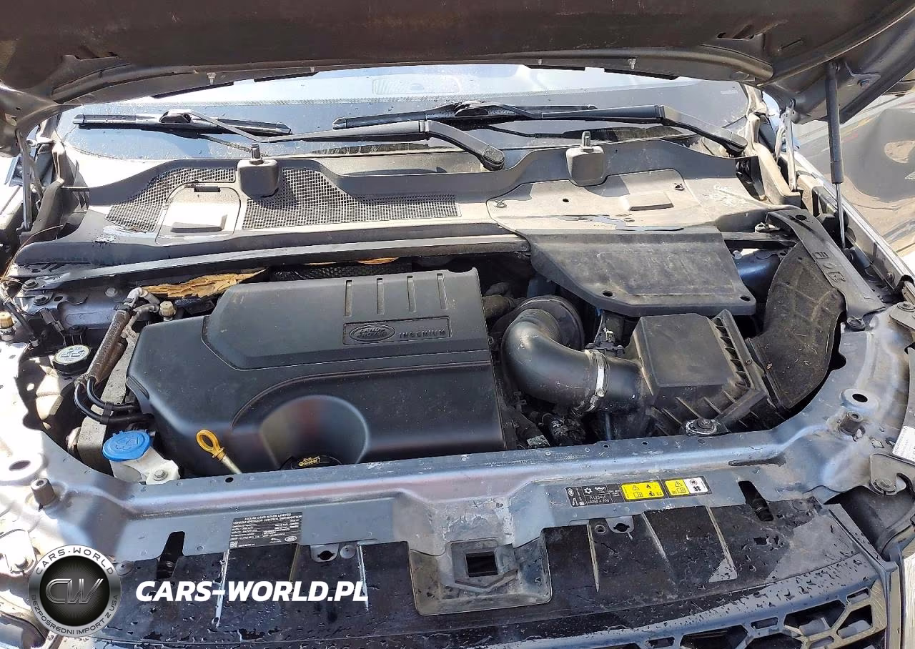 2019 Land Rover Discovery Sport Hse VIN:SALCR2FX2KH783287 - 12