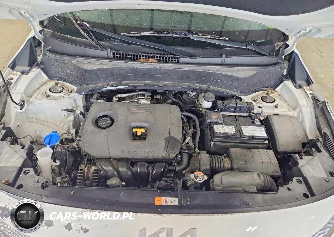 2022 Kia Seltos S VIN:KNDEUCAA6N7310008 - 11