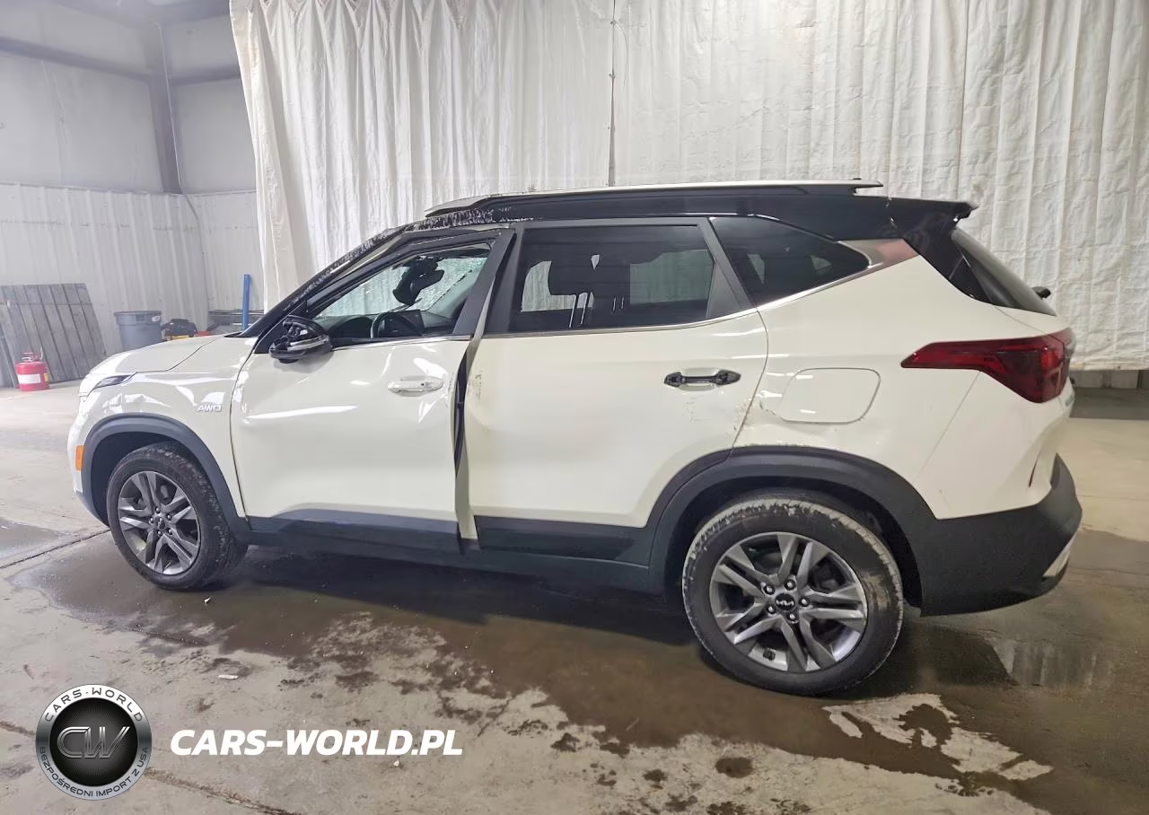 2022 Kia Seltos S VIN:KNDEUCAA6N7310008 - 2