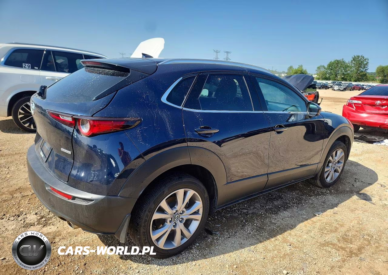 2023 Mazda Cx-30 Premium VIN:3MVDMBDM6PM573912 - 3