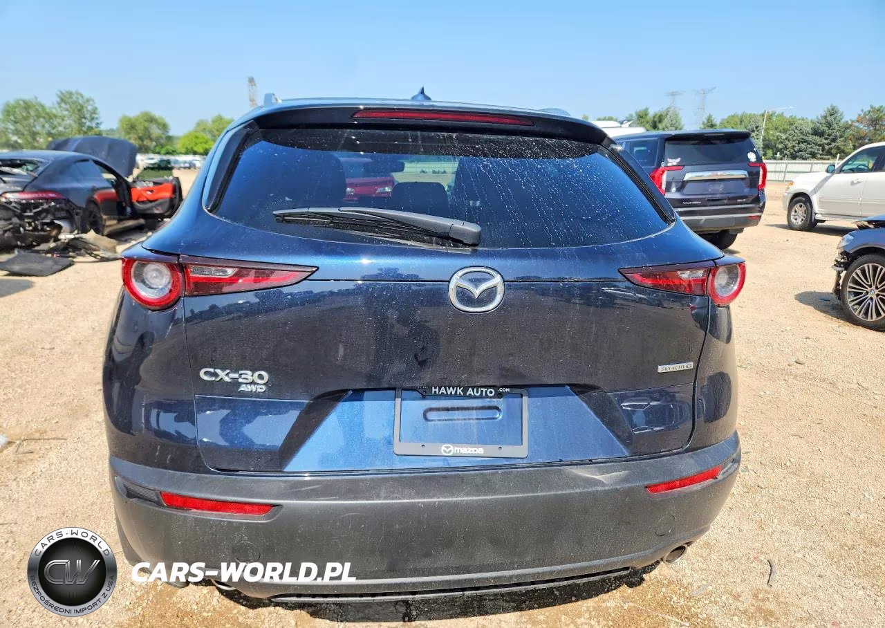 2023 Mazda Cx-30 Premium VIN:3MVDMBDM6PM573912 - 6