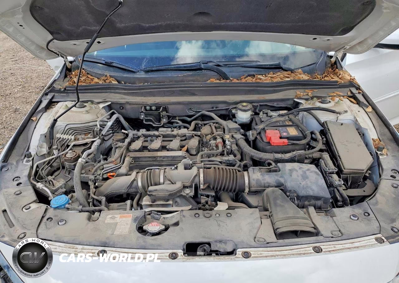 2019 Honda Accord Ex VIN:1HGCV1F48KA111540 - 11
