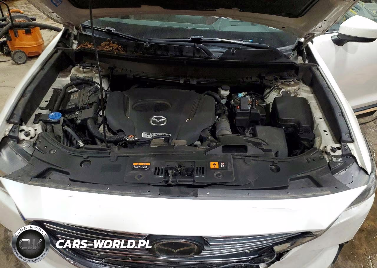 2016 Mazda Cx-9 Signature VIN:JM3TCBEYXG0113017 - 11