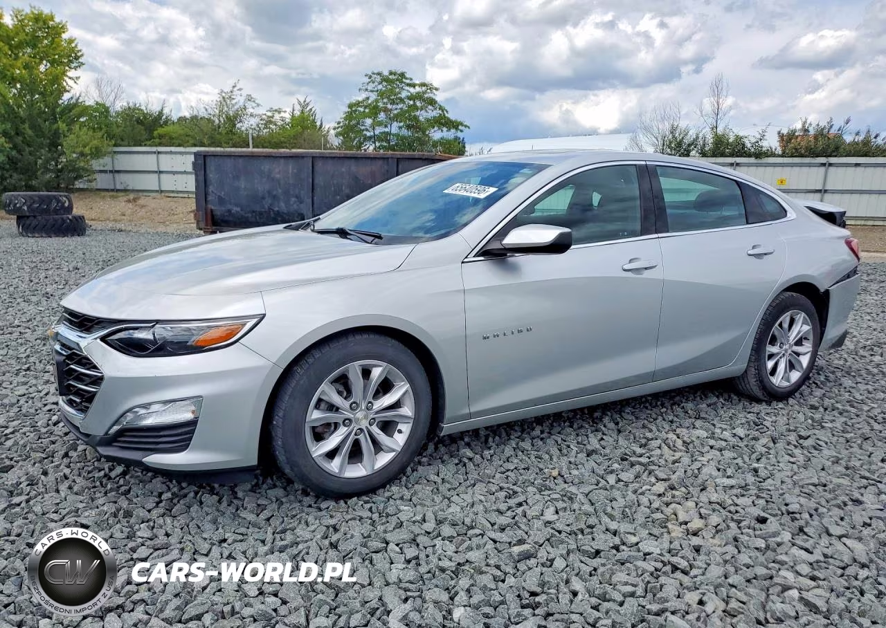 2019 Chevrolet Malibu Lt VIN:1G1ZD5ST9KF170298 - 1