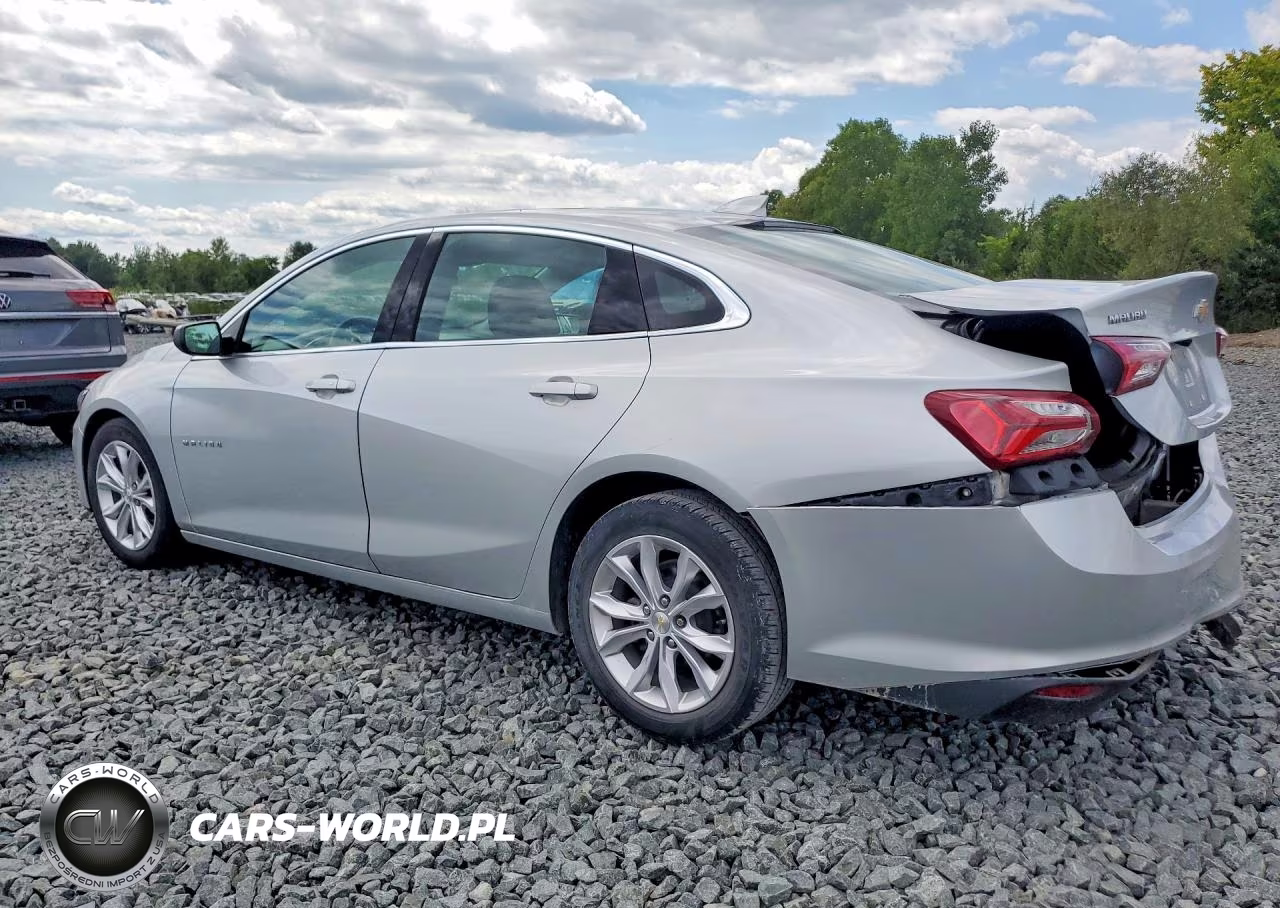 2019 Chevrolet Malibu Lt VIN:1G1ZD5ST9KF170298 - 2