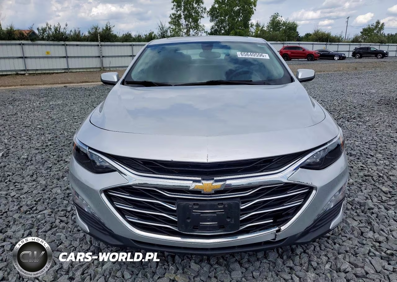 2019 Chevrolet Malibu Lt VIN:1G1ZD5ST9KF170298 - 5