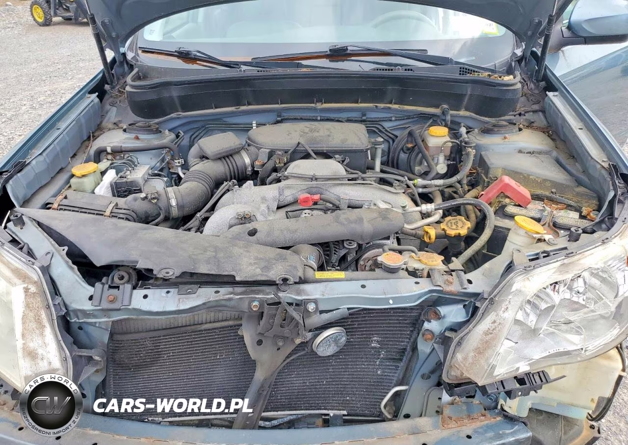 2010 Subaru Forester 2.5X Premium VIN:JF2SH6CC5AH741386 - 12