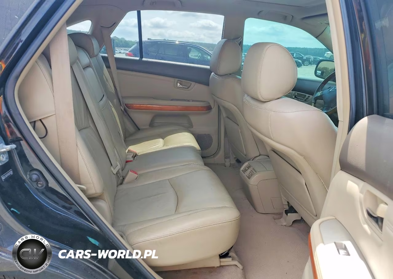 2004 Lexus Rx 330 VIN:2T2GA31U34C013282 - 10