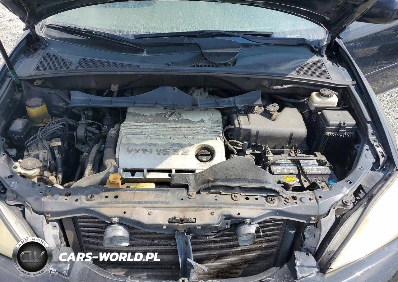 2004 Lexus Rx 330 VIN:2T2GA31U34C013282 - 11