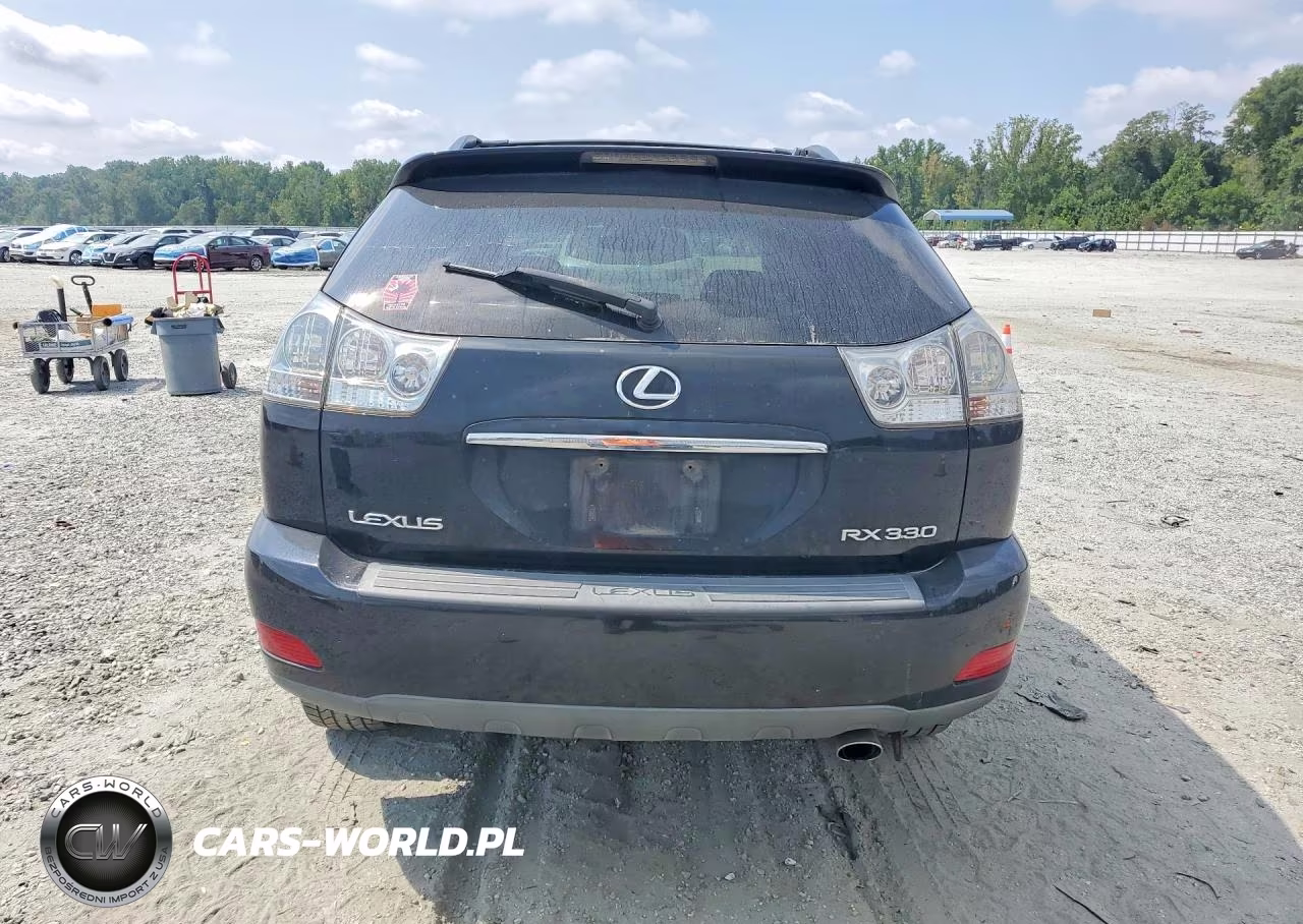 2004 Lexus Rx 330 VIN:2T2GA31U34C013282 - 6