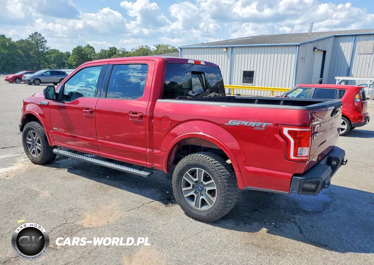 2016 Ford F150 Supercrew VIN:1FTEW1EP6GFD11391 - 2