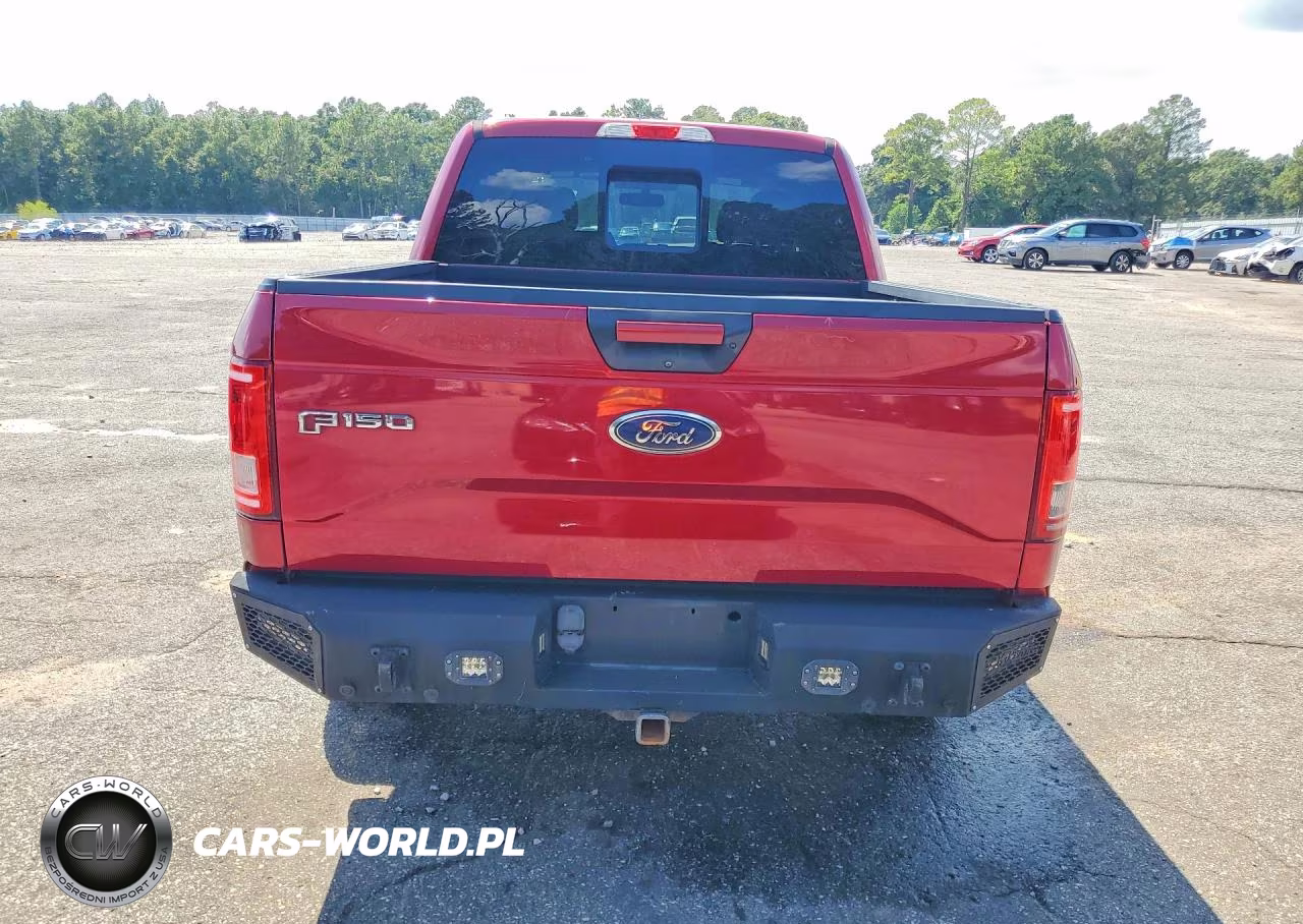 2016 Ford F150 Supercrew VIN:1FTEW1EP6GFD11391 - 6