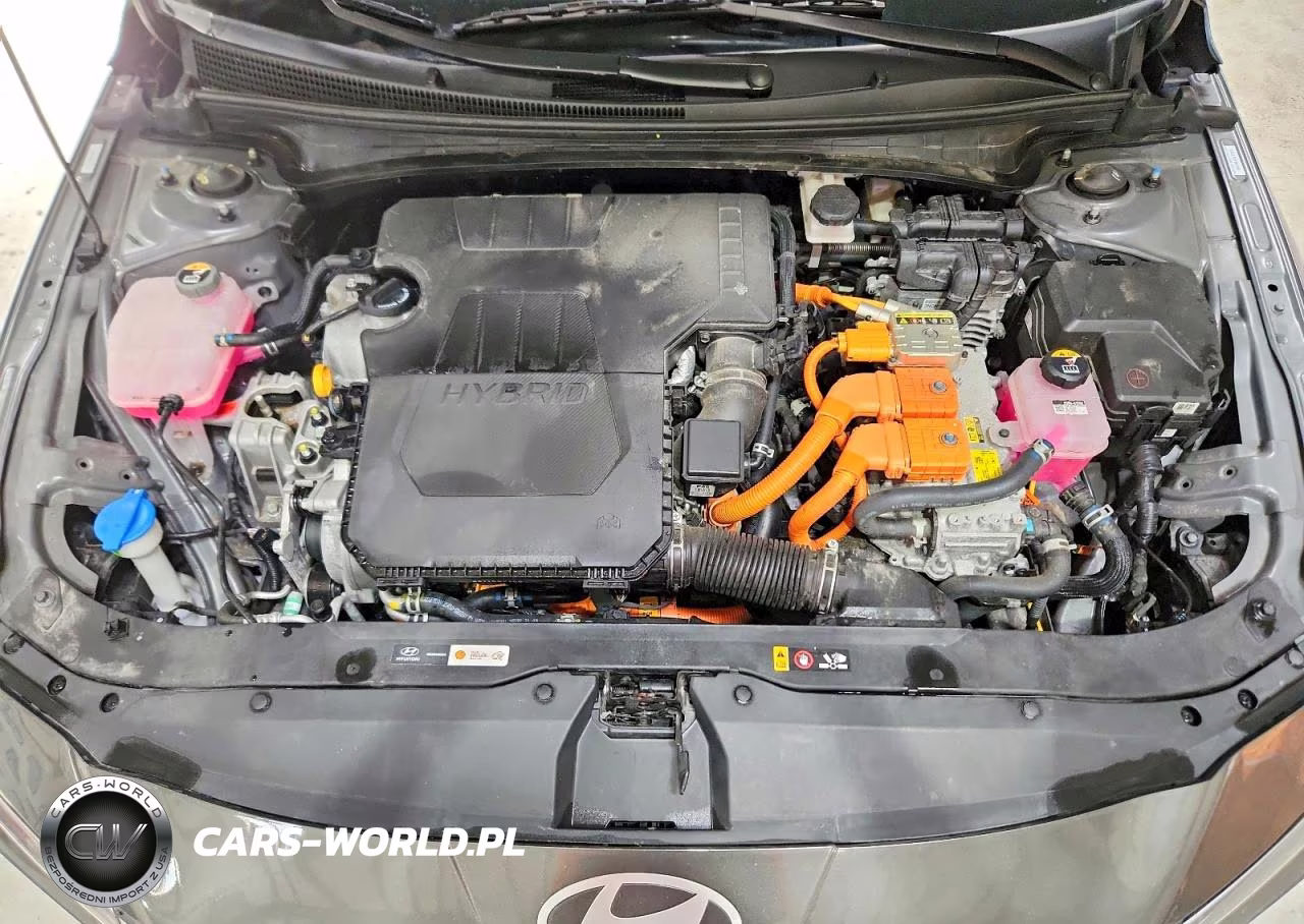2025 Hyundai Elantra Hybrid Sel Sport VIN:KMHLM4DJ6SU167319 - 11
