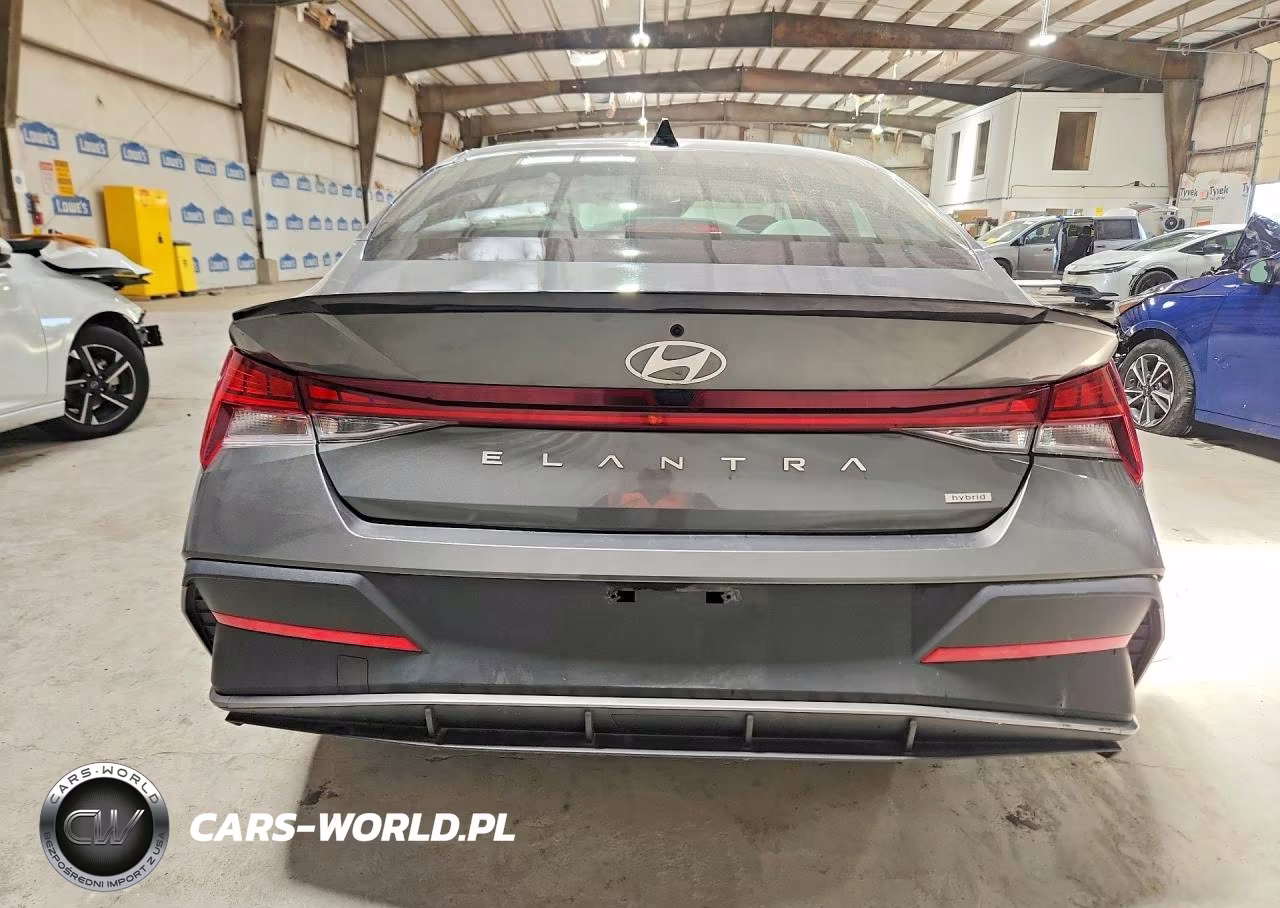 2025 Hyundai Elantra Hybrid Sel Sport VIN:KMHLM4DJ6SU167319 - 6
