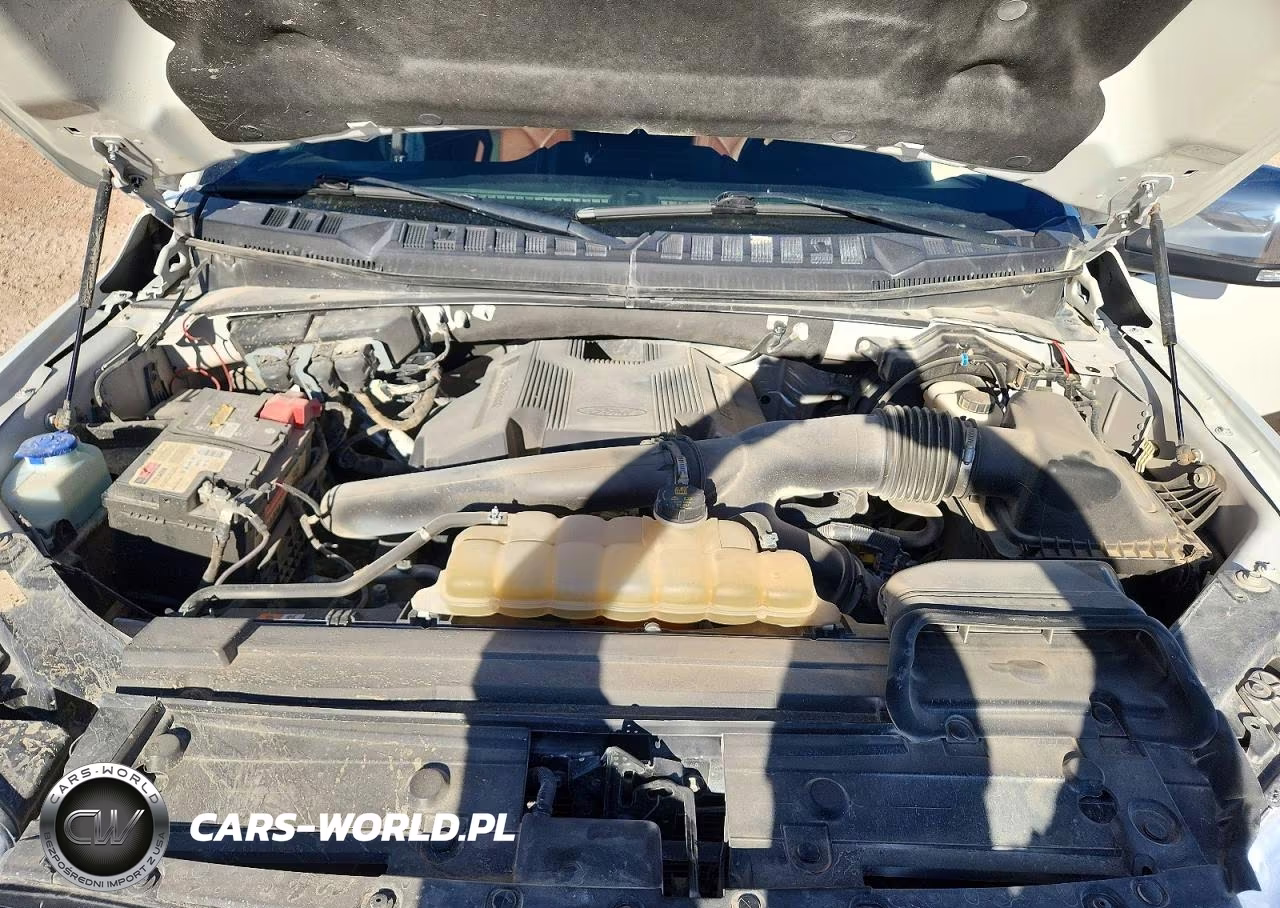 2020 Ford F150 Supercrew VIN:1FTEW1E4XLFC49896 - 11