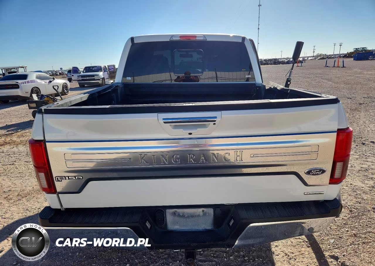 2020 Ford F150 Supercrew VIN:1FTEW1E4XLFC49896 - 6