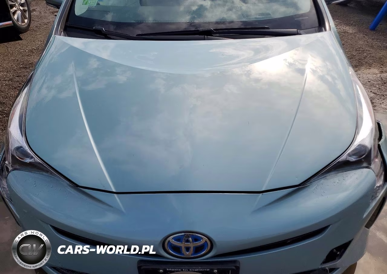 2016 Toyota Prius Three VIN:JTDKARFU9G3018610 - 11