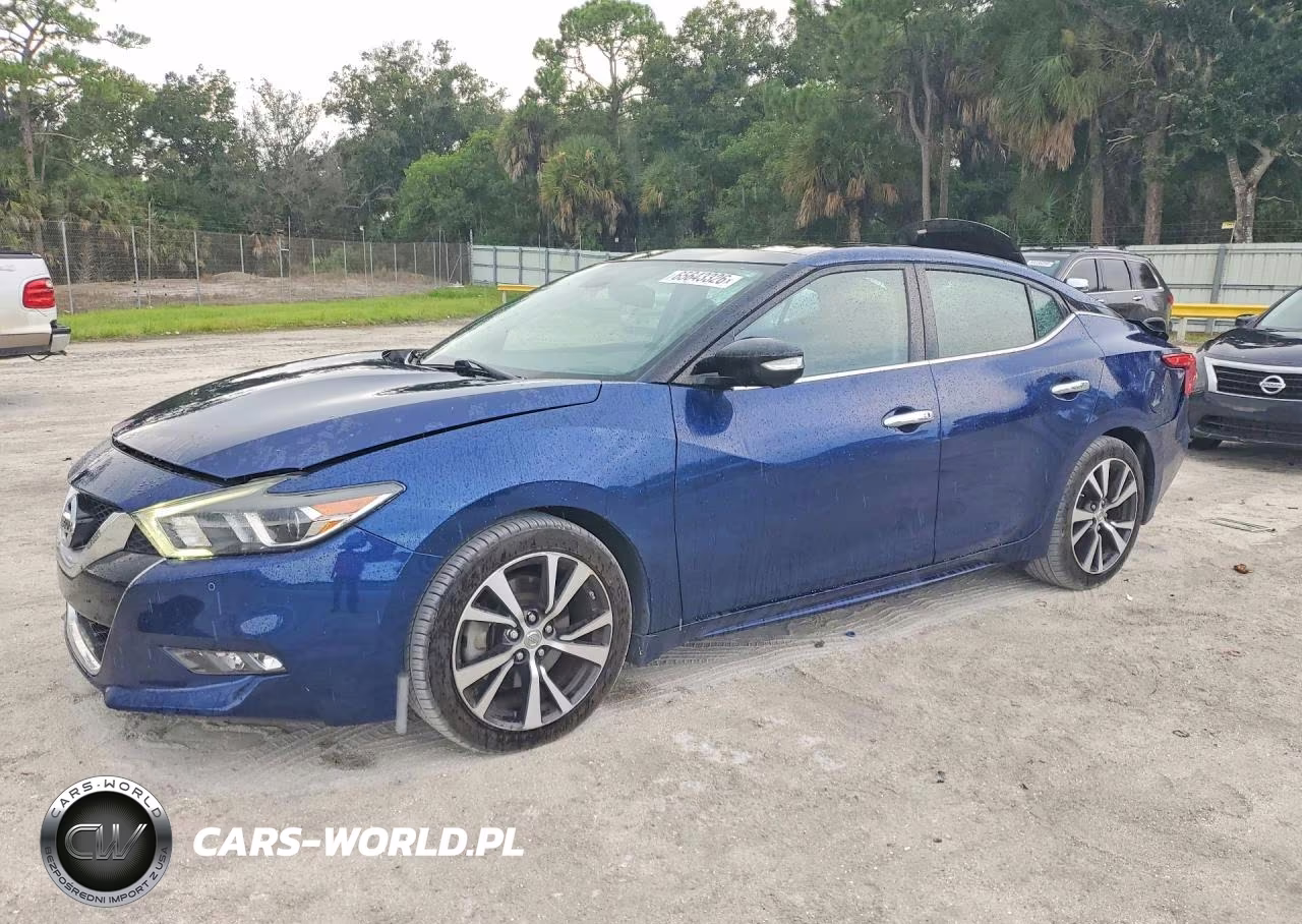 2017 Nissan Maxima Platinum VIN:1N4AA6AP1HC375900 - 1