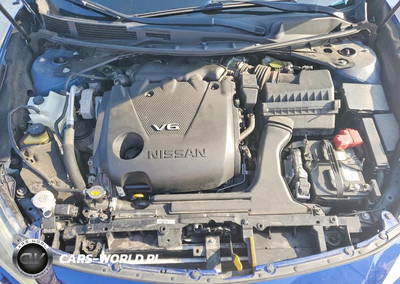 2017 Nissan Maxima Platinum VIN:1N4AA6AP1HC375900 - 11