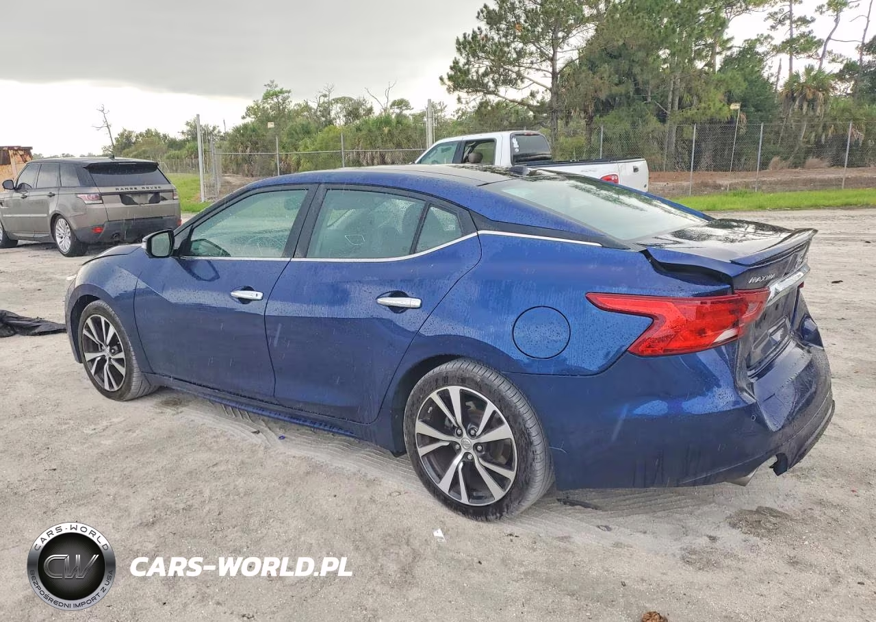 2017 Nissan Maxima Platinum VIN:1N4AA6AP1HC375900 - 2