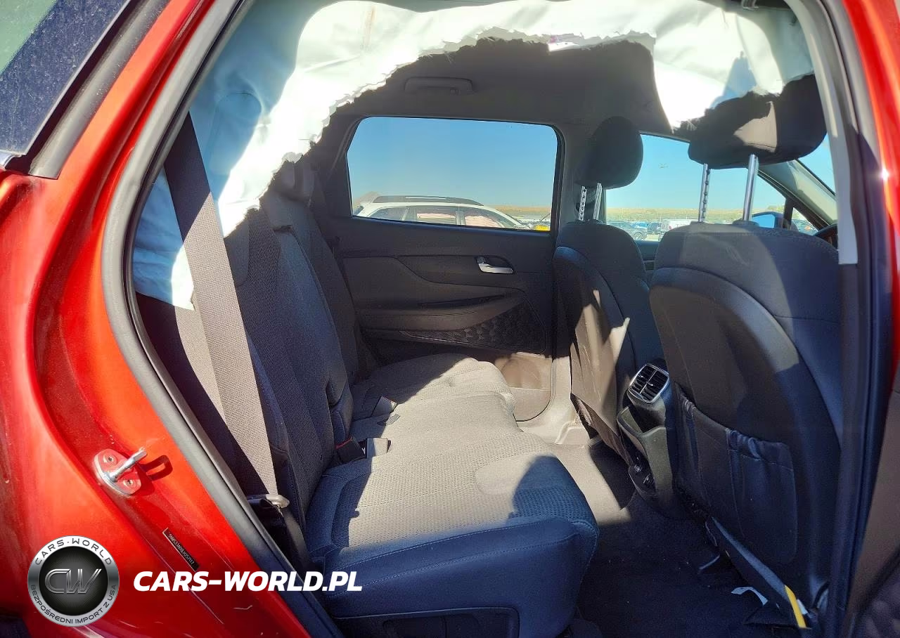 2020 Hyundai Santa Fe Sel VIN:5NMS33AD0LH257117 - 10