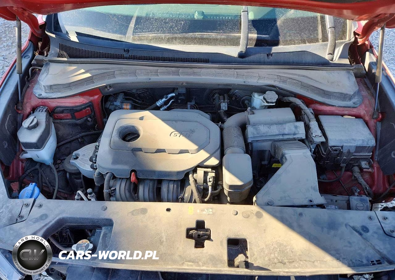 2020 Hyundai Santa Fe Sel VIN:5NMS33AD0LH257117 - 11
