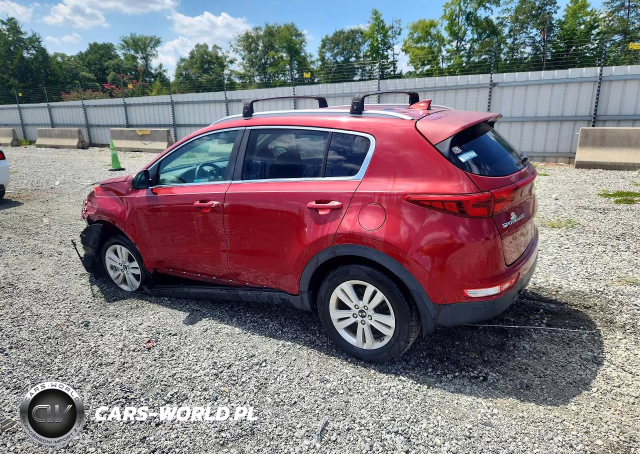2019 Kia Sportage Lx VIN:KNDPM3AC6K7624926 - 2