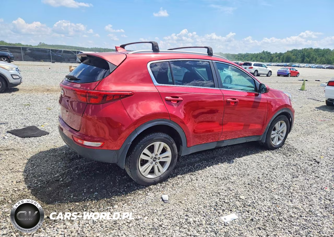 2019 Kia Sportage Lx VIN:KNDPM3AC6K7624926 - 3