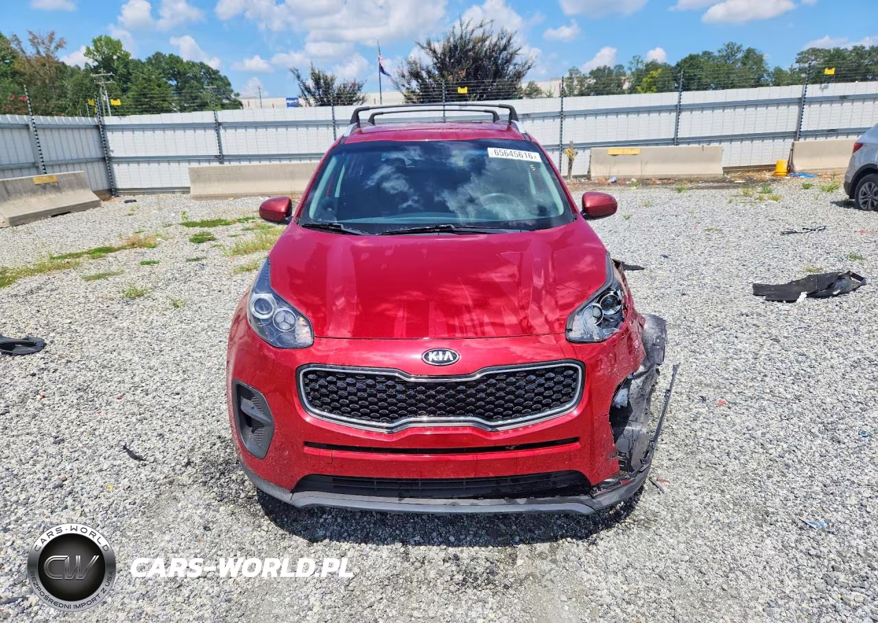 2019 Kia Sportage Lx VIN:KNDPM3AC6K7624926 - 5