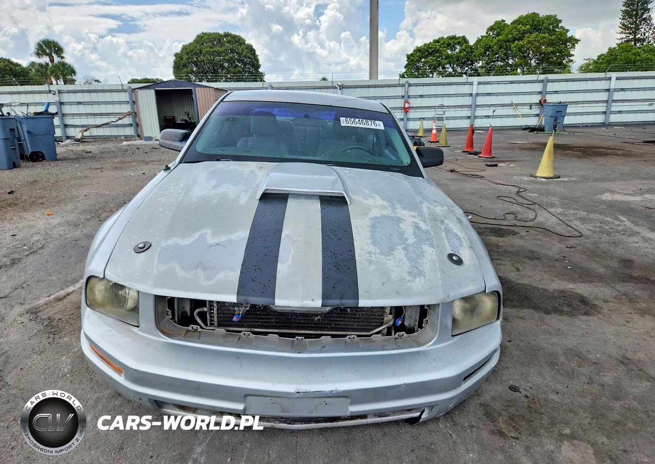 2006 Ford Mustang VIN:1ZVFT80N965168255 - 5