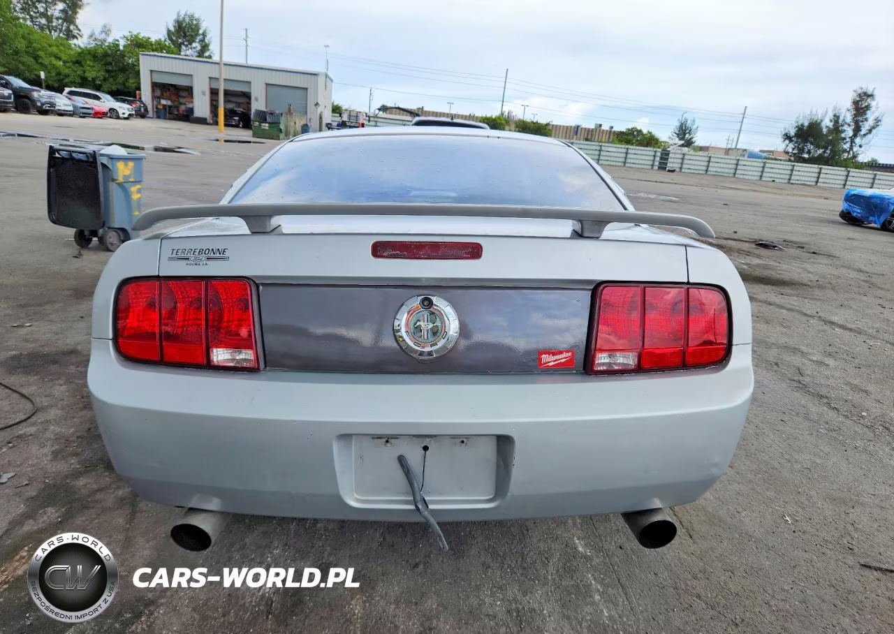 2006 Ford Mustang VIN:1ZVFT80N965168255 - 6