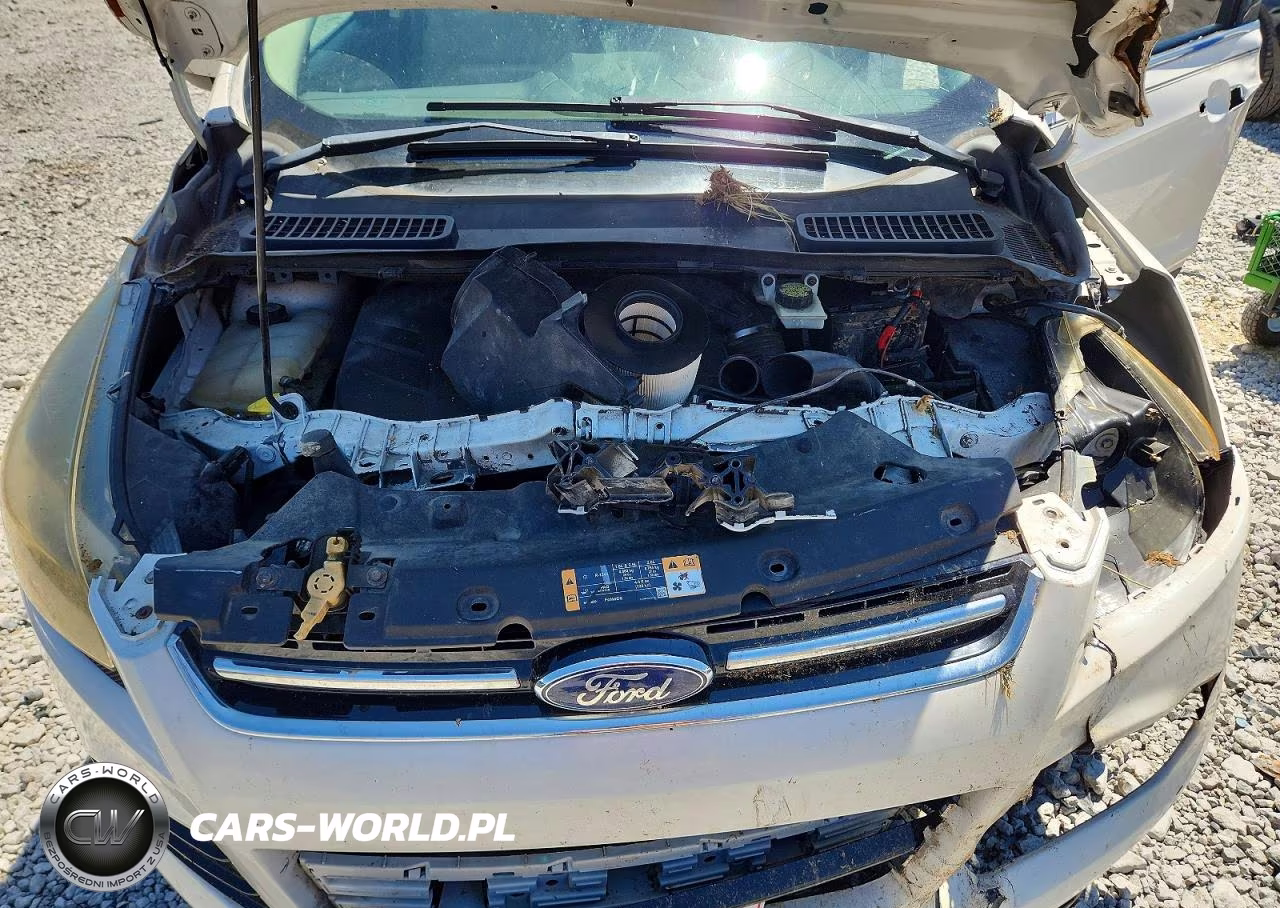 2013 Ford Escape Sel VIN:1FMCU0H95DUB07379 - 12