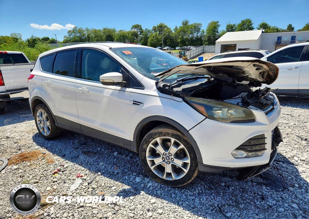 2013 Ford Escape Sel VIN:1FMCU0H95DUB07379 - 4