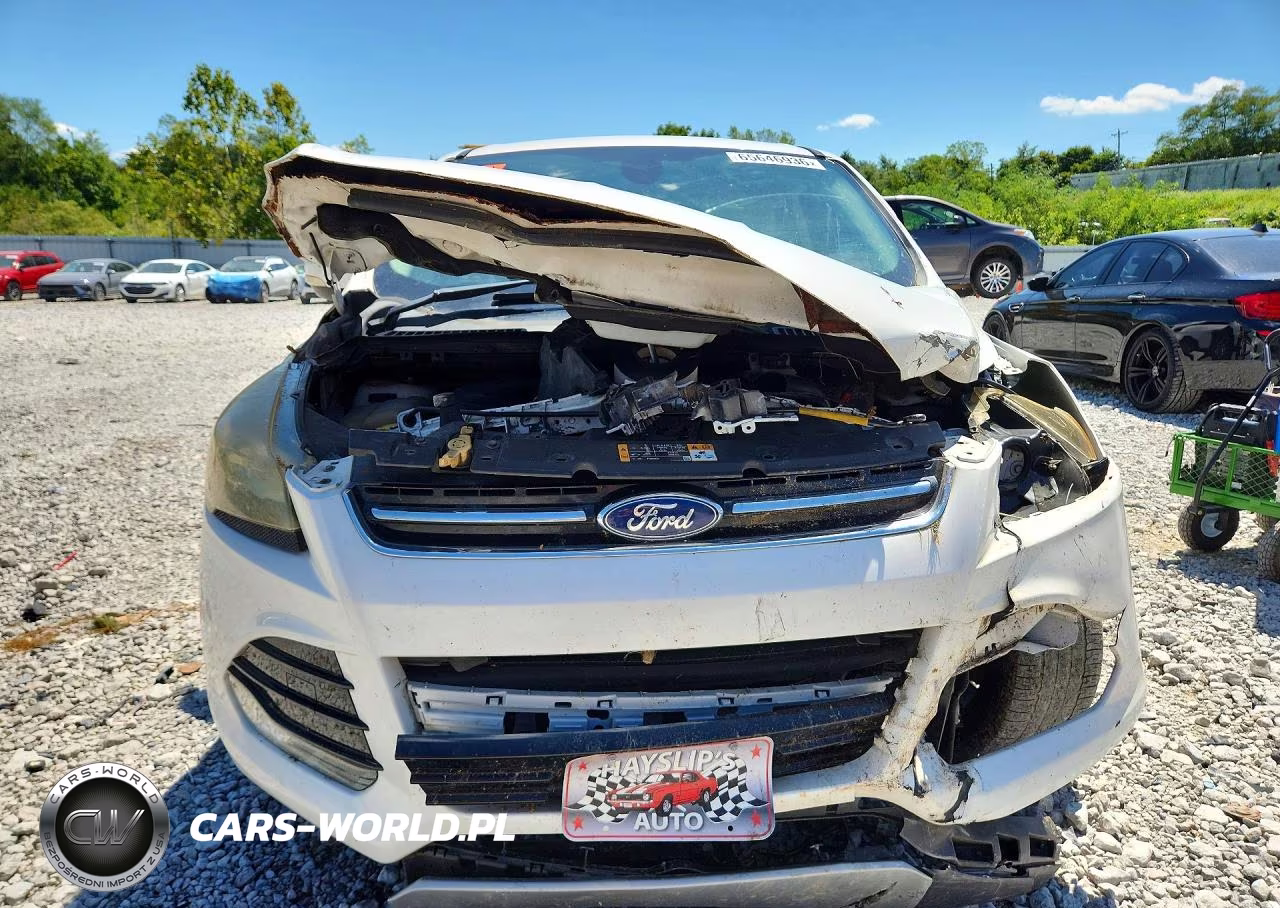 2013 Ford Escape Sel VIN:1FMCU0H95DUB07379 - 5