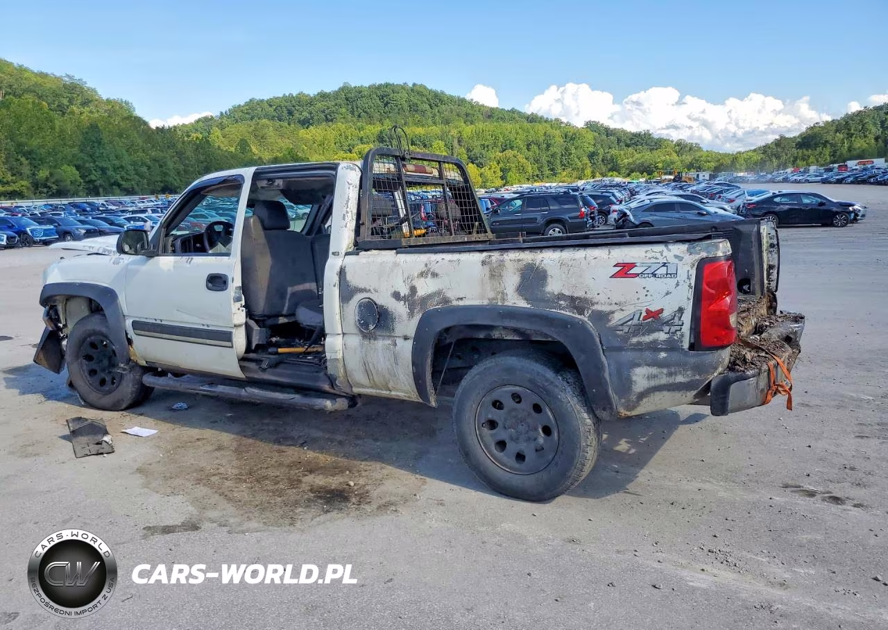 2004 Chevrolet Silverado K1500 VIN:2GCEK19V041259666 - 2