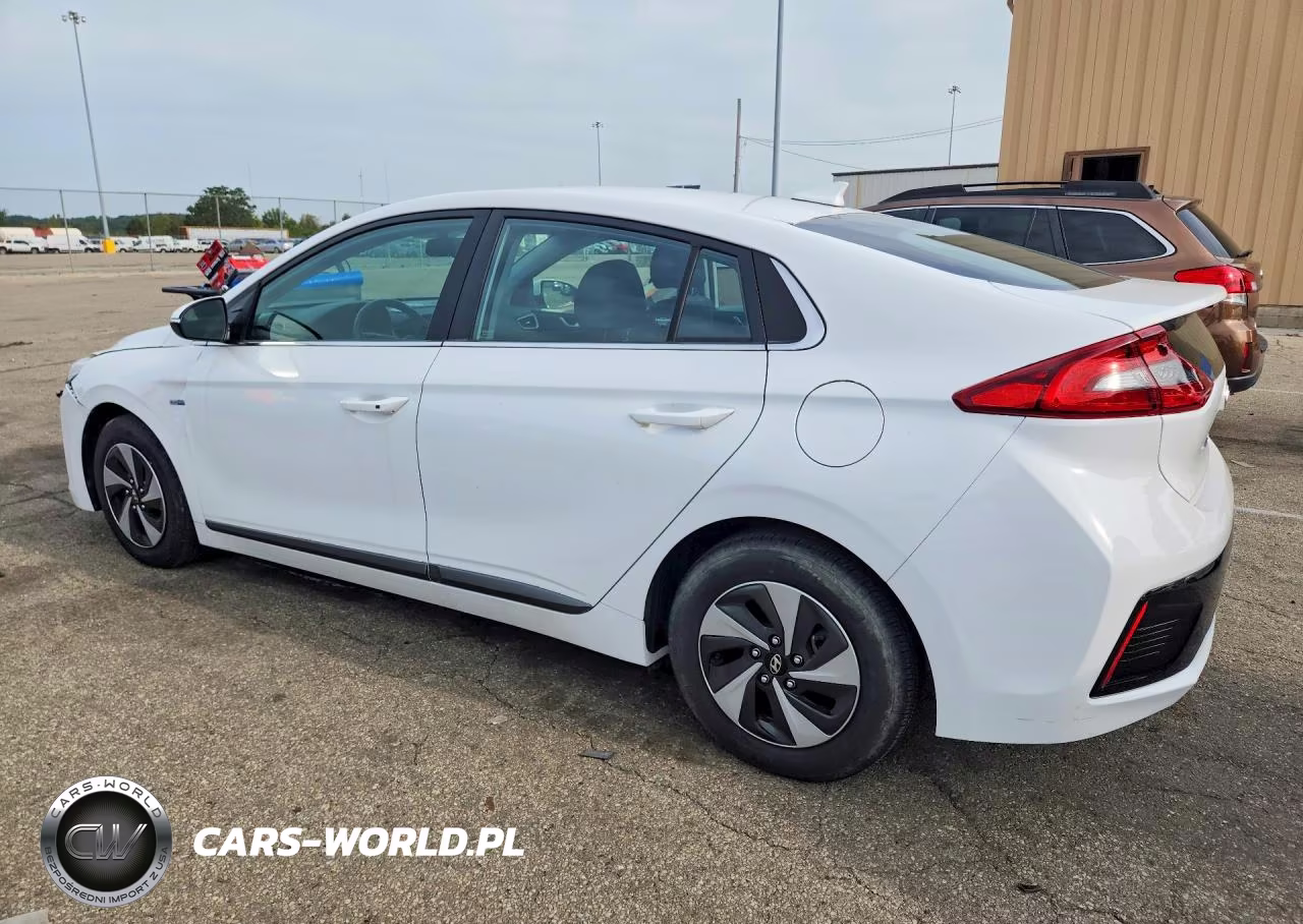 2017 Hyundai Ioniq Sel VIN:KMHC75LC0HU044320 - 2